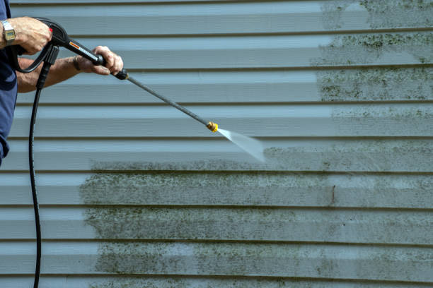 Best Roof Pressure Washing  in Lordsburg, NM